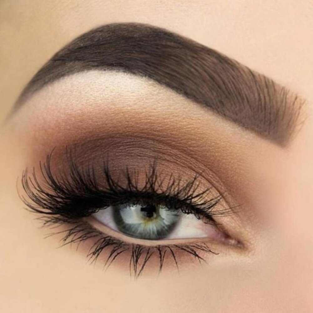 TOO FACED Warm & Fudgy Eye Shadow Melted Chocolate Matte Brown Eyeshadow NEW NIB